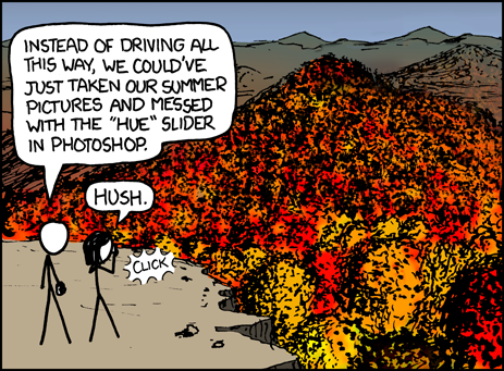 File:fall foliage.png