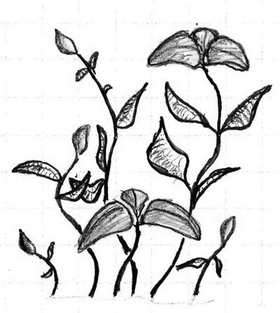 File:flowers inverted.jpeg