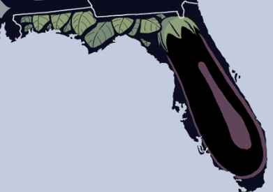 File:Florida1079.png