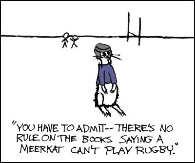 File:meerkat.jpg