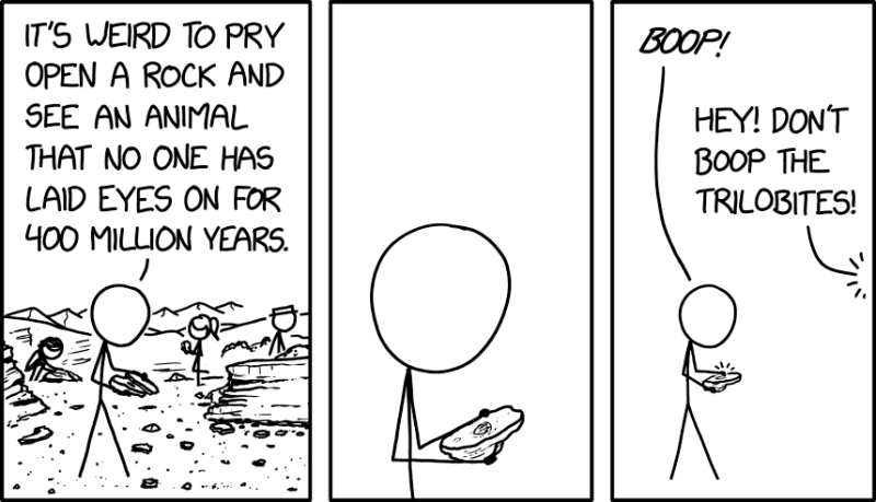File:fossil 2x.png