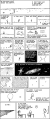 Thumbnail for version as of 01:48, 8 July 2026