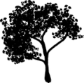 Thumbnail for version as of 01:48, 8 July 2026
