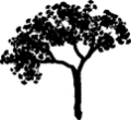 Thumbnail for version as of 01:46, 8 July 2026