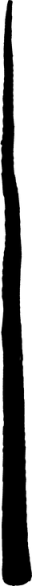 File:Garden Tall trunk 4.png