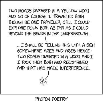 When you worry that you're missing out on something by not making both choices simultaneously by quantum superposition, that's called phomo.