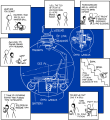 Thumbnail for version as of 01:46, 8 July 2026