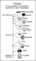 Thumbnail for version as of 01:46, 8 July 2026