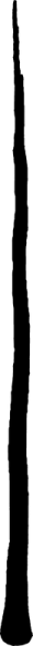 File:Garden Tall trunk 1.png