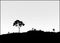 Thumbnail for version as of 01:45, 8 July 2026
