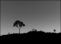 Thumbnail for version as of 01:47, 8 July 2026