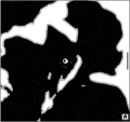 Thumbnail for version as of 01:45, 8 July 2026