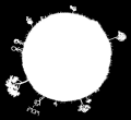 Thumbnail for version as of 01:46, 8 July 2026