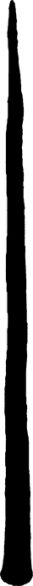 File:Garden Tall trunk 2.png