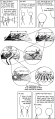Thumbnail for version as of 01:46, 8 July 2026