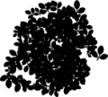 Thumbnail for version as of 01:46, 8 July 2026