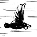 Thumbnail for version as of 01:48, 8 July 2026