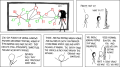 Thumbnail for version as of 01:47, 8 July 2026