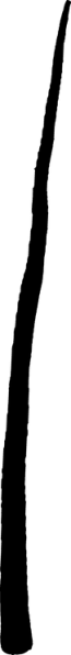 File:Garden Tall trunk 3.png