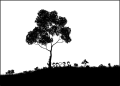 Thumbnail for version as of 01:49, 8 July 2026