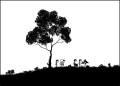 Thumbnail for version as of 01:49, 8 July 2026