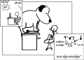 Thumbnail for version as of 01:47, 8 July 2026
