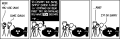 Thumbnail for version as of 01:48, 8 July 2026