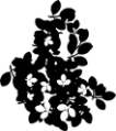 Thumbnail for version as of 01:47, 8 July 2026