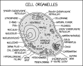 Thumbnail for version as of 01:48, 8 July 2026