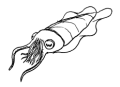 Thumbnail for version as of 01:48, 8 July 2026