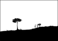 Thumbnail for version as of 01:49, 8 July 2026