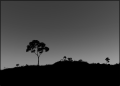 Thumbnail for version as of 01:46, 8 July 2026