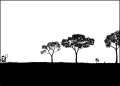 Thumbnail for version as of 01:49, 8 July 2026