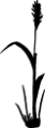 Thumbnail for version as of 01:45, 8 July 2026