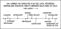 Thumbnail for version as of 01:48, 8 July 2026